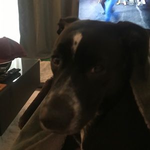 Meet your Posher, C ryan